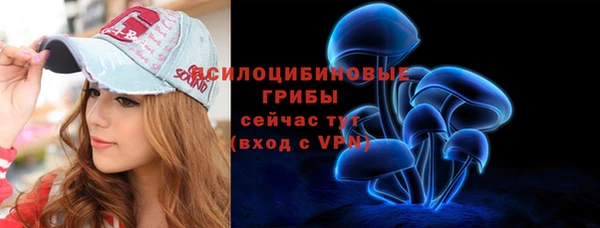 СК Кукмор