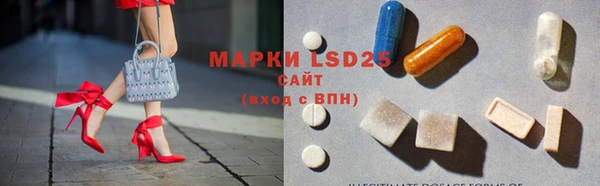 СК Кукмор