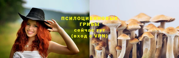 хмурый Кулебаки
