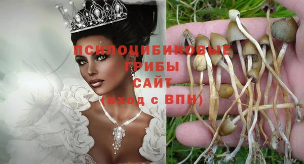 хмурый Кулебаки