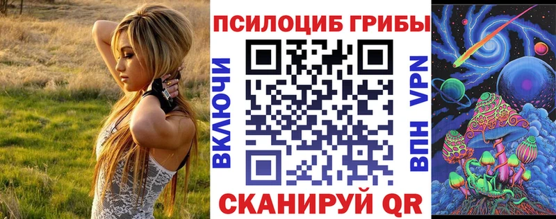 Галлюциногенные грибы Cubensis  Красный Холм 